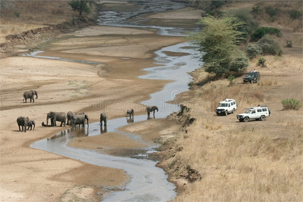 tanzania safaris